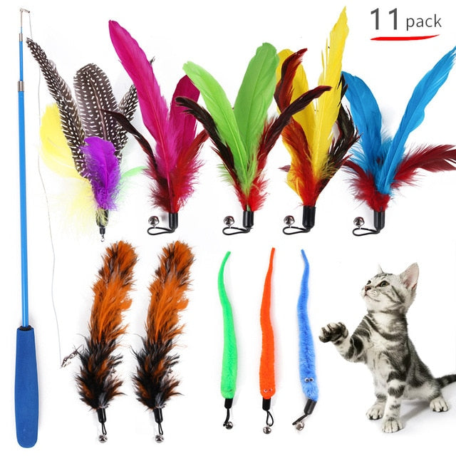 Jouet à Plumes Rétractable pour Chats d'Intérieur