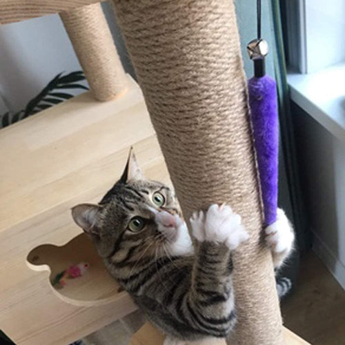 Jouet à Plumes Rétractable pour Chats d'Intérieur
